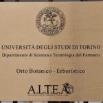 Università degli Studi di Torino – Sede di Savigliano, Orto Botanico-Erboristico, Piazza Turletti