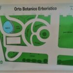 Università degli Studi di Torino – Sede di Savigliano, Orto Botanico-Erboristico, Piazza Turletti. Mappa con Classificazione Specie Botaniche